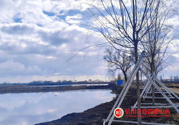 舒兰市法特镇“净美”筑基“景美”添彩